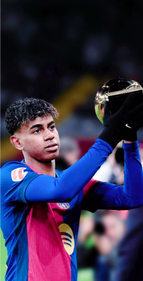 section modules overview